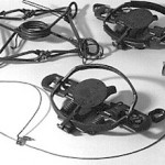 picture of various traps